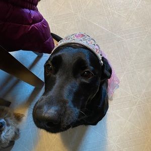 Meet your Posher, Tiffany